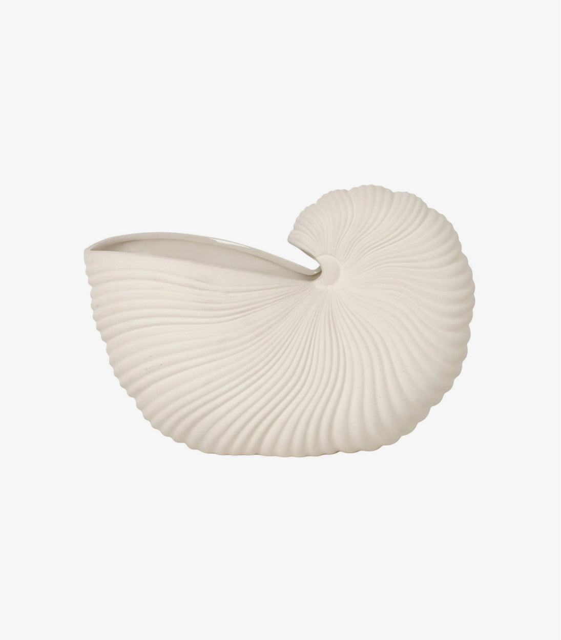 Vase Seashell